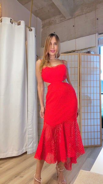 Sorte cut out red mesh dress